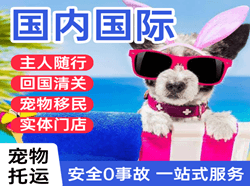 西庆航空空运国际宠物托运 【国